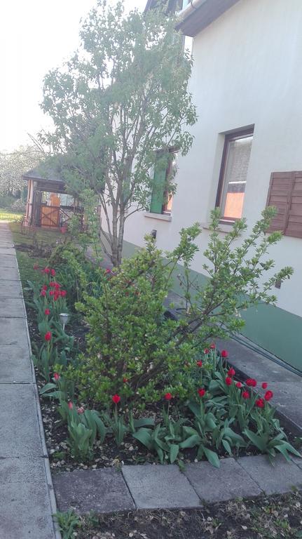 Plajbi Apartment Hajdúszoboszló Εξωτερικό φωτογραφία